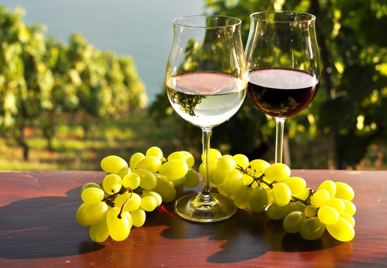 Совети за совршено вино
