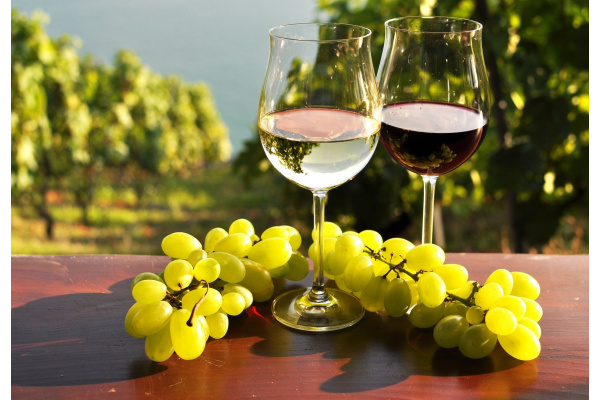 Совети за совршено вино